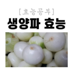 생양파효능