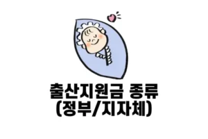 출산지원금-종류