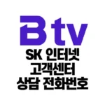 SK-인터넷