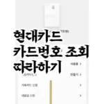 현대카드-번호