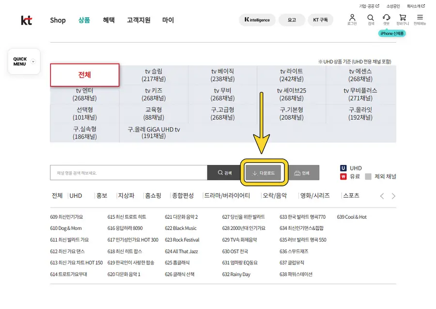 KT_채널번호