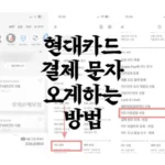 현대카드결제문자
